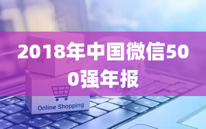 2018年中国微信500强年报