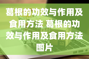 葛根的功效与作用及食用方法 葛根的功效与作用及食用方法图片