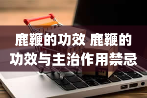 鹿鞭的功效 鹿鞭的功效与主治作用禁忌