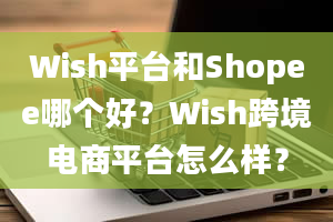 Wish平台和Shopee哪个好？Wish跨境电商平台怎么样？