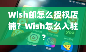 Wish邮怎么授权店铺？Wish怎么入驻？