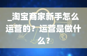 _淘宝商家新手怎么运营的？运营是做什么？