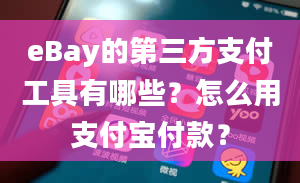 eBay的第三方支付工具有哪些？怎么用支付宝付款？