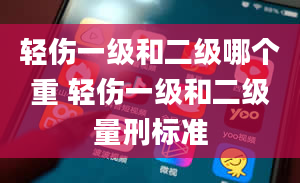 轻伤一级和二级哪个重 轻伤一级和二级量刑标准