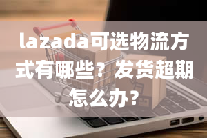 lazada可选物流方式有哪些？发货超期怎么办？