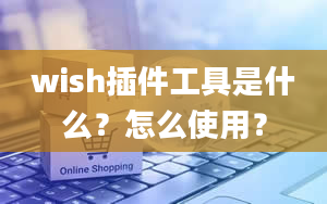 wish插件工具是什么？怎么使用？