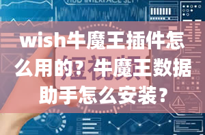 wish牛魔王插件怎么用的？牛魔王数据助手怎么安装？