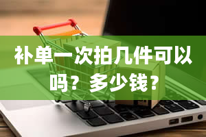 补单一次拍几件可以吗？多少钱？