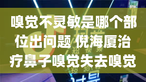 嗅觉不灵敏是哪个部位出问题 倪海厦治疗鼻子嗅觉失去嗅觉