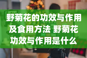 野菊花的功效与作用及食用方法 野菊花功效与作用是什么