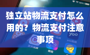 独立站物流支付怎么用的？物流支付注意事项