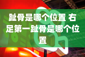 趾骨是哪个位置 右足第一趾骨是哪个位置