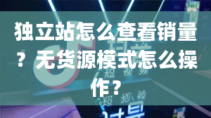 独立站怎么查看销量？无货源模式怎么操作？