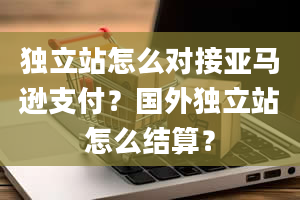 独立站怎么对接亚马逊支付？国外独立站怎么结算？