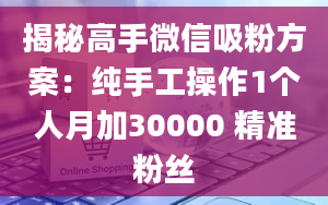 揭秘高手微信吸粉方案：纯手工操作1个人月加30000 精准粉丝