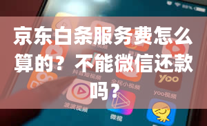 京东白条服务费怎么算的？不能微信还款吗？