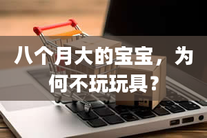 八个月大的宝宝，为何不玩玩具？