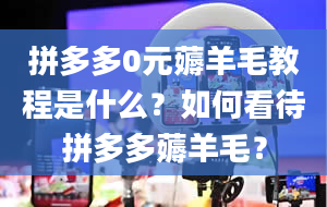 拼多多0元薅羊毛教程是什么？如何看待拼多多薅羊毛？