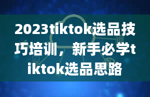 2023tiktok选品技巧培训，新手必学tiktok选品思路