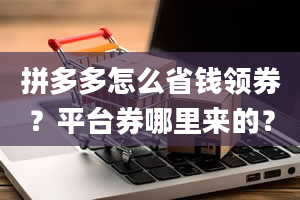 拼多多怎么省钱领券？平台券哪里来的？