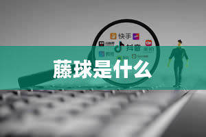 藤球是什么