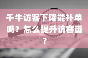 千牛访客下降能补单吗？怎么提升访客量？