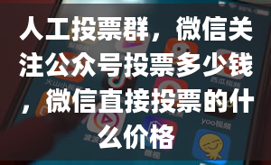 人工投票群，微信关注公众号投票多少钱，微信直接投票的什么价格