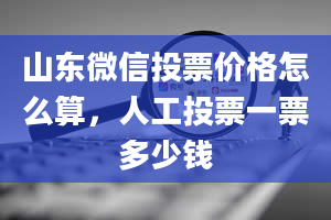 山东微信投票价格怎么算，人工投票一票多少钱