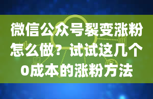 微信公众号裂变涨粉怎么做？试试这几个0成本的涨粉方法