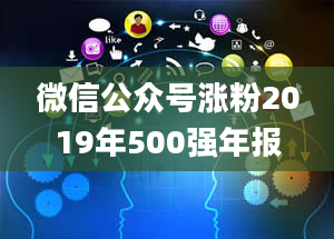 微信公众号涨粉2019年500强年报