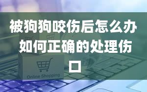 被狗狗咬伤后怎么办 如何正确的处理伤口