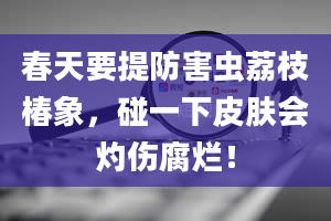 春天要提防害虫荔枝椿象，碰一下皮肤会灼伤腐烂！