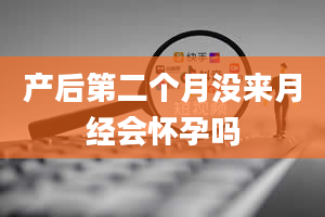 产后第二个月没来月经会怀孕吗