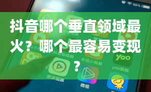 抖音哪个垂直领域最火？哪个最容易变现？