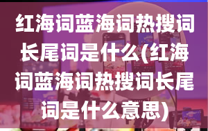 红海词蓝海词热搜词长尾词是什么(红海词蓝海词热搜词长尾词是什么意思)