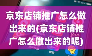 京东店铺推广怎么做出来的(京东店铺推广怎么做出来的呢)