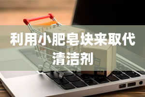 利用小肥皂块来取代清洁剂