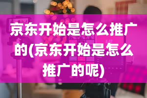 京东开始是怎么推广的(京东开始是怎么推广的呢)