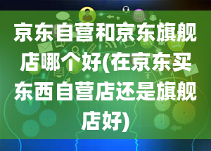 京东自营和京东旗舰店哪个好(在京东买东西自营店还是旗舰店好)