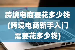 跨境电商要花多少钱(跨境电商新手入门需要花多少钱)