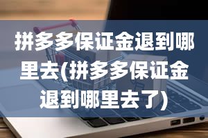 拼多多保证金退到哪里去(拼多多保证金退到哪里去了)