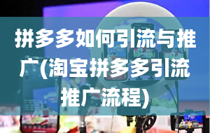 拼多多如何引流与推广(淘宝拼多多引流推广流程)