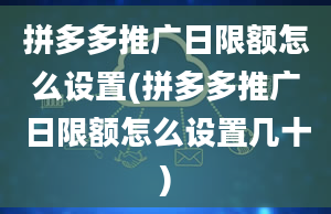 拼多多推广日限额怎么设置(拼多多推广日限额怎么设置几十)