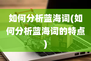 如何分析蓝海词(如何分析蓝海词的特点)