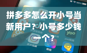 拼多多怎么开小号当新用户？小号多少钱一个？