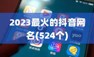 2023最火的抖音网名(524个)