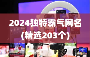 2024独特霸气网名(精选203个)