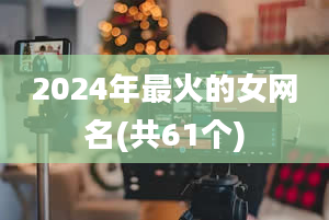 2024年最火的女网名(共61个)