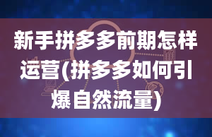 新手拼多多前期怎样运营(拼多多如何引爆自然流量)