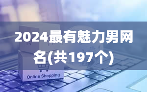 2024最有魅力男网名(共197个)